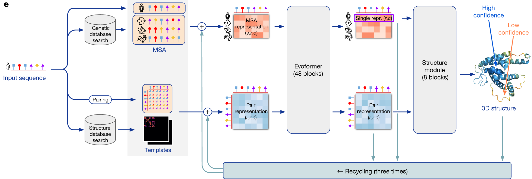 Highly accurate protein structure prediction with AlphaFold · Jumper et al., AlphaFold, Figure 1(e) · CC BY 4.0